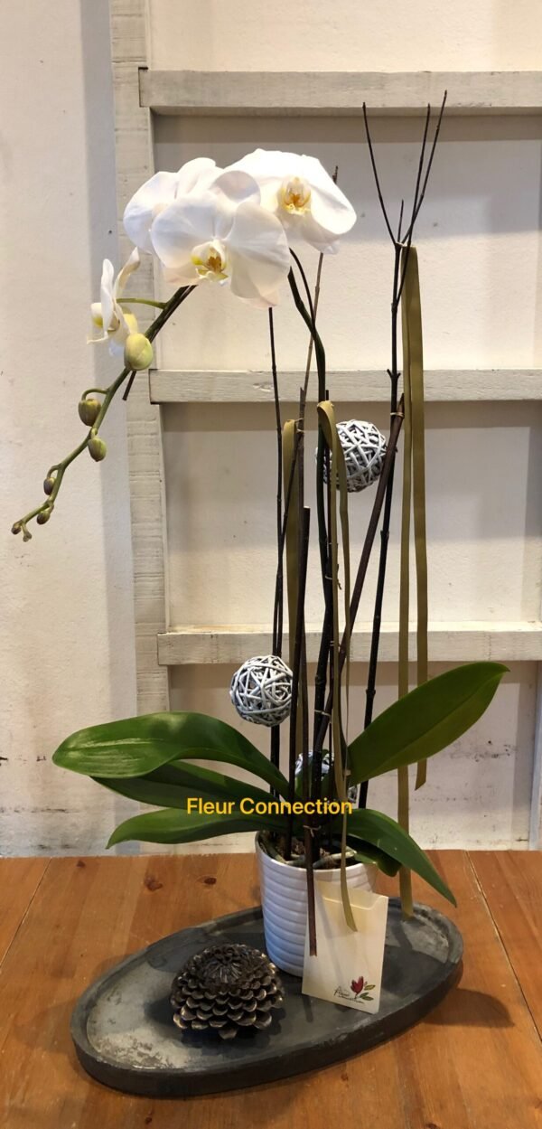 fleurconnection.com