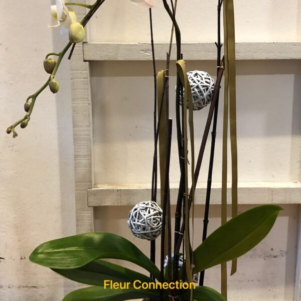 fleurconnection.com
